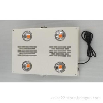 600W COB LED Grow Light, Full Spectrum 380-840nm, Bridgelux Chip